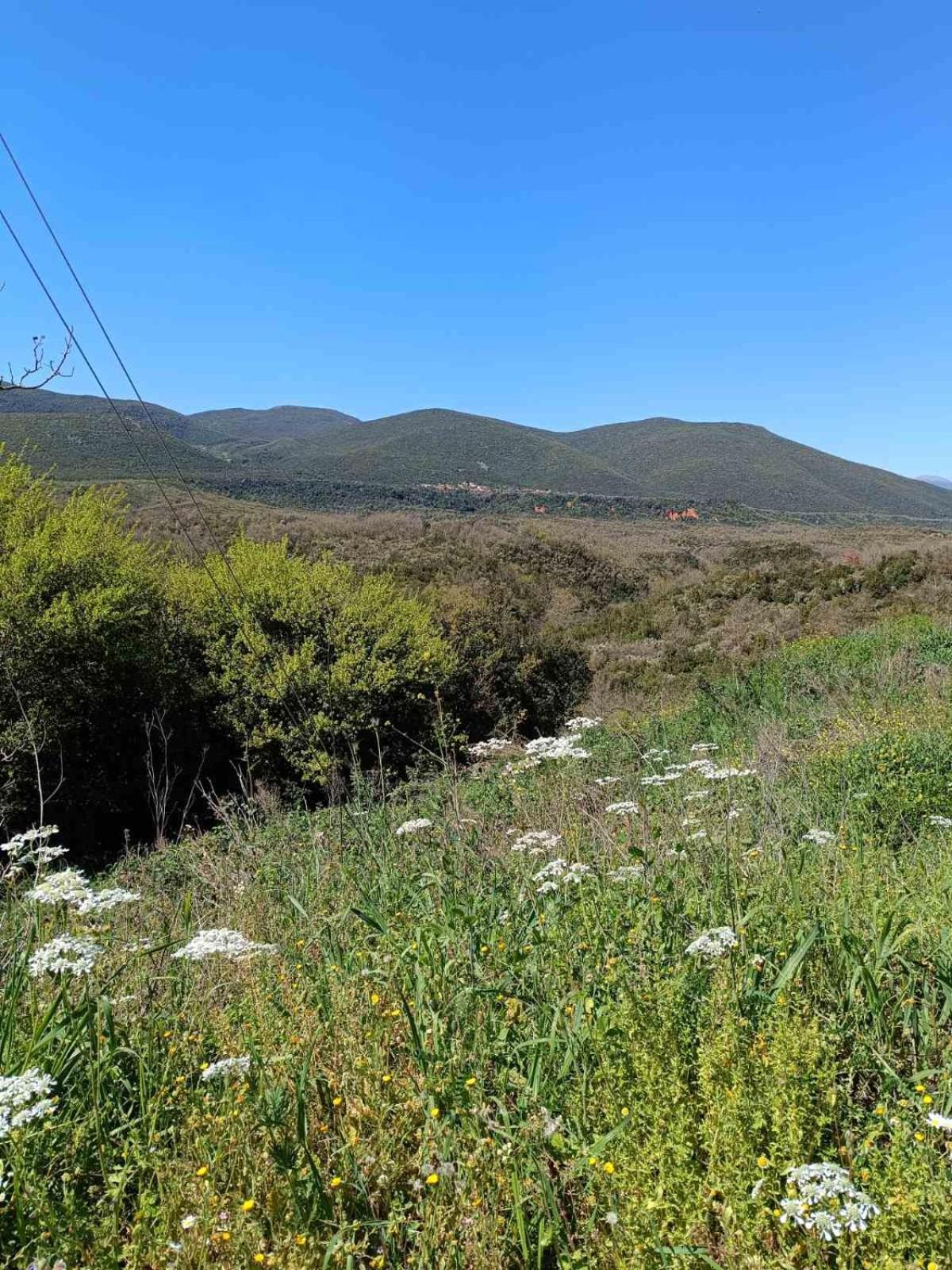 Dina's House * Leondari (Peloponnese)