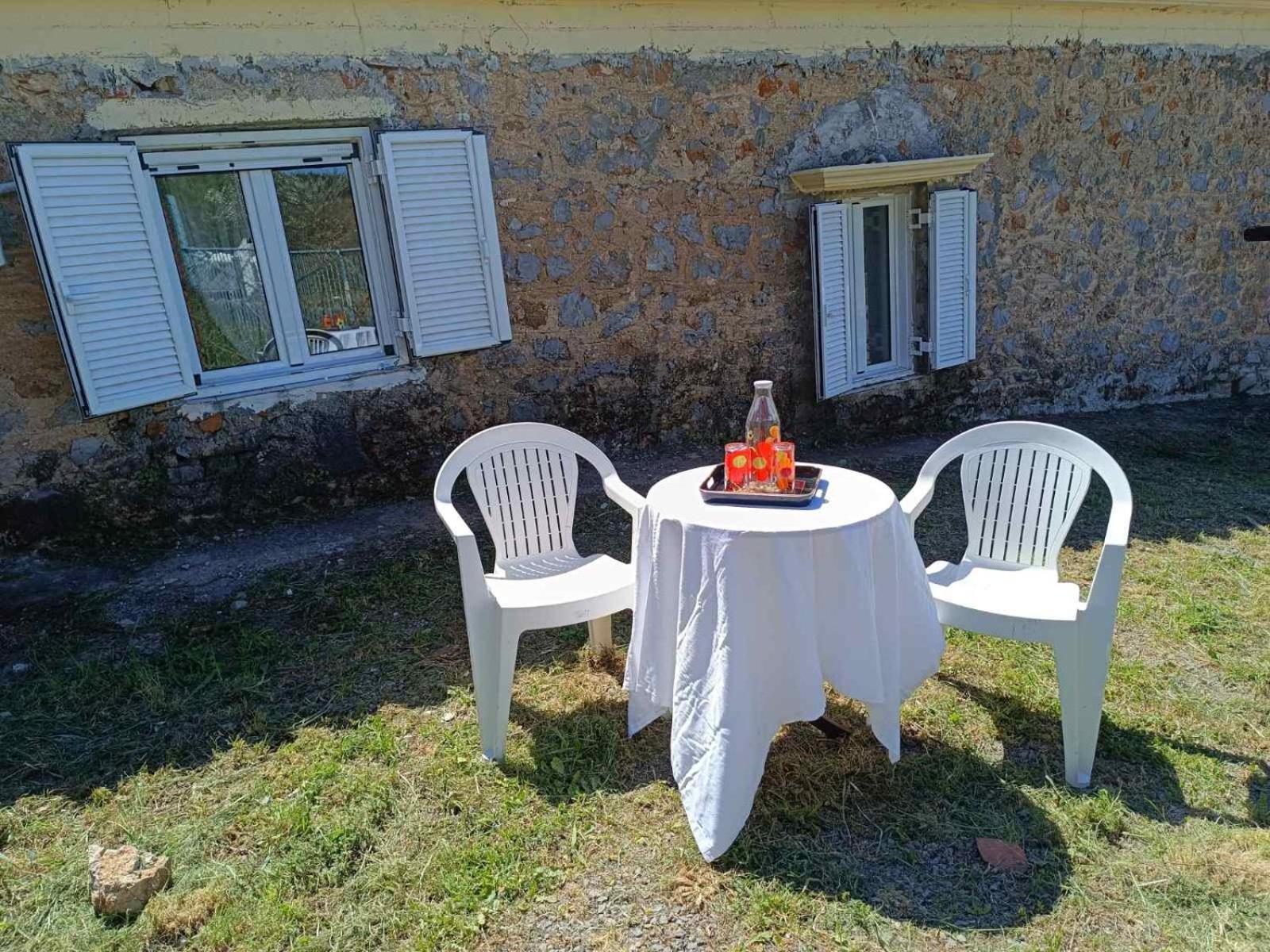 Dina's House