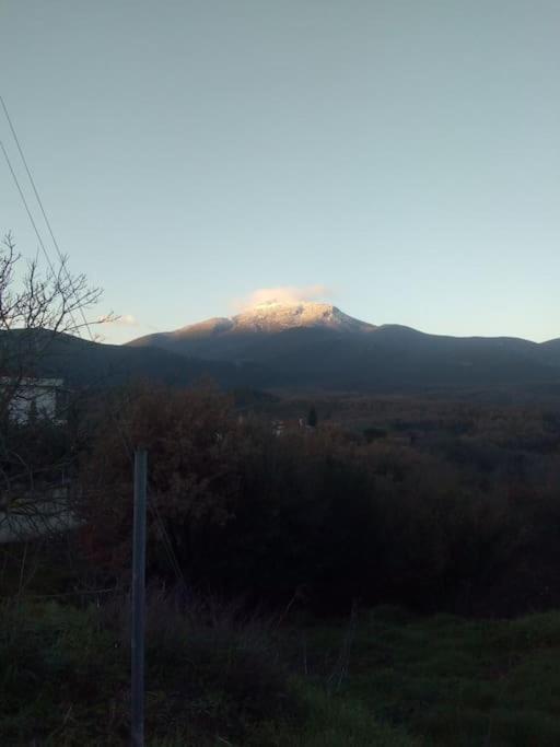 Dina's House Holiday home Leondari (Peloponnese)